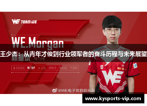 王少杰：从青年才俊到行业领军者的奋斗历程与未来展望